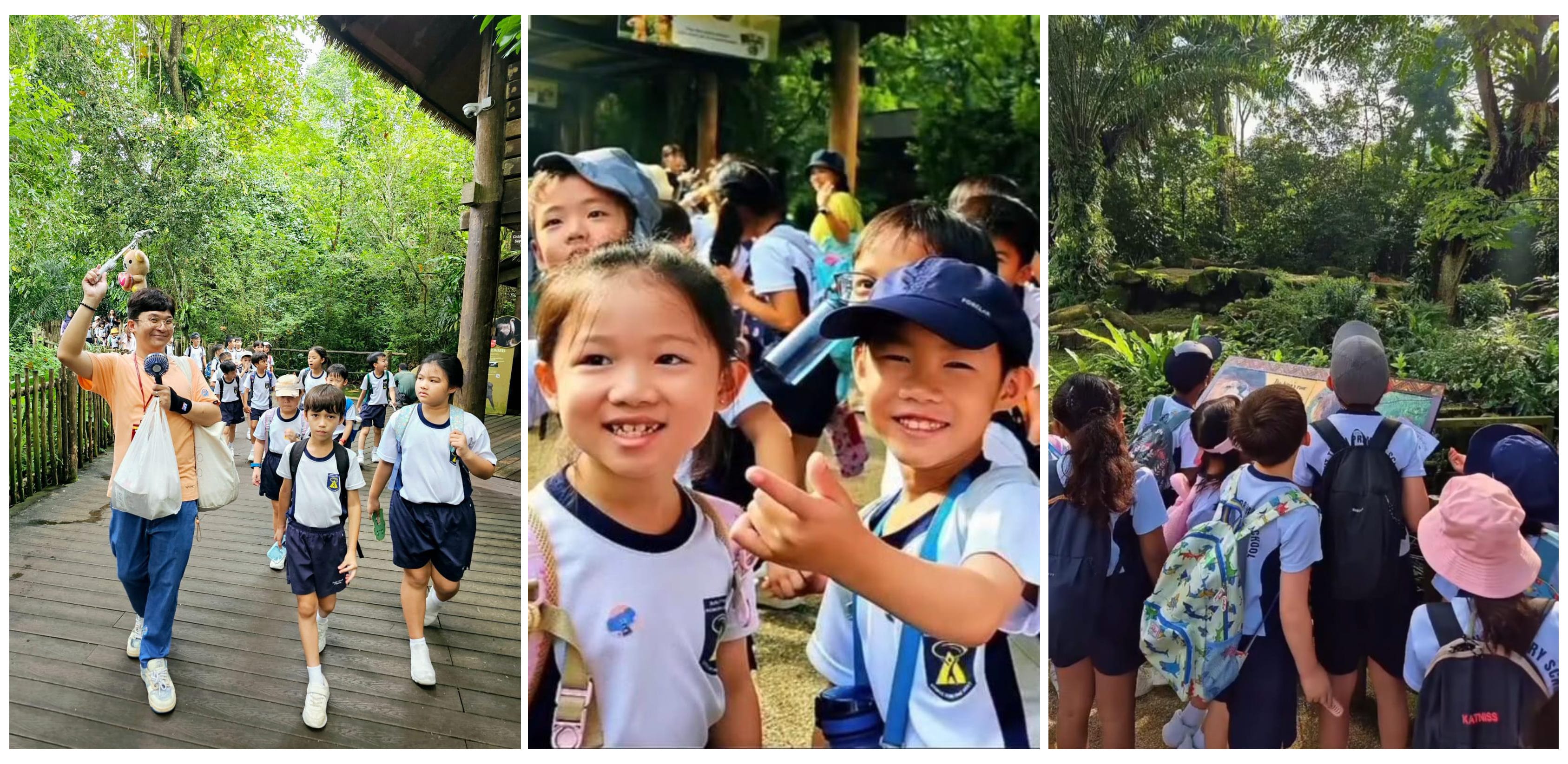 A three-panel collage capturing young school children in uniform enjoying an outdoor field trip alongside their teacher.