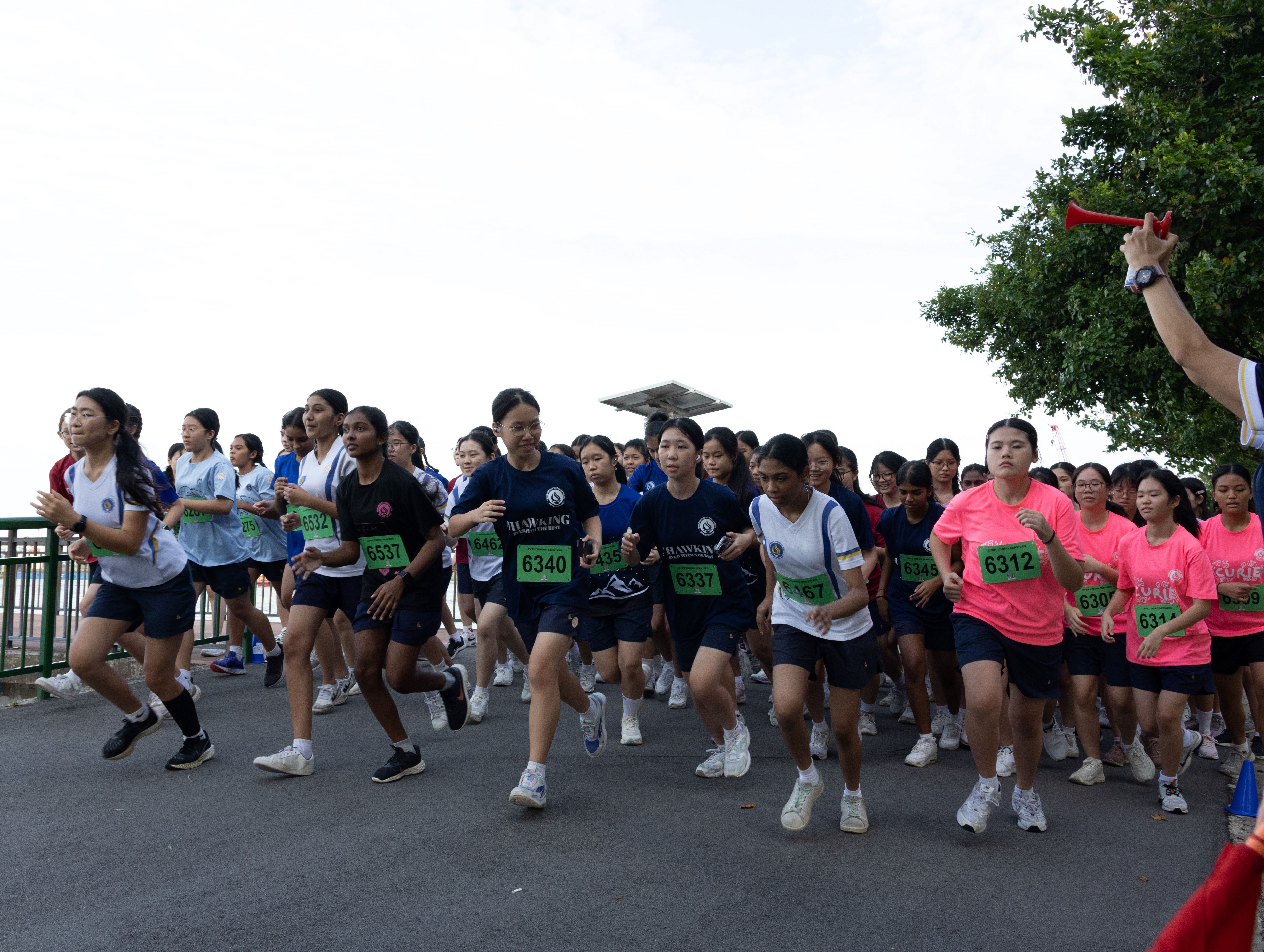 Crowd of runners with bib numbers start a road race as a person at right raises a red horn.
