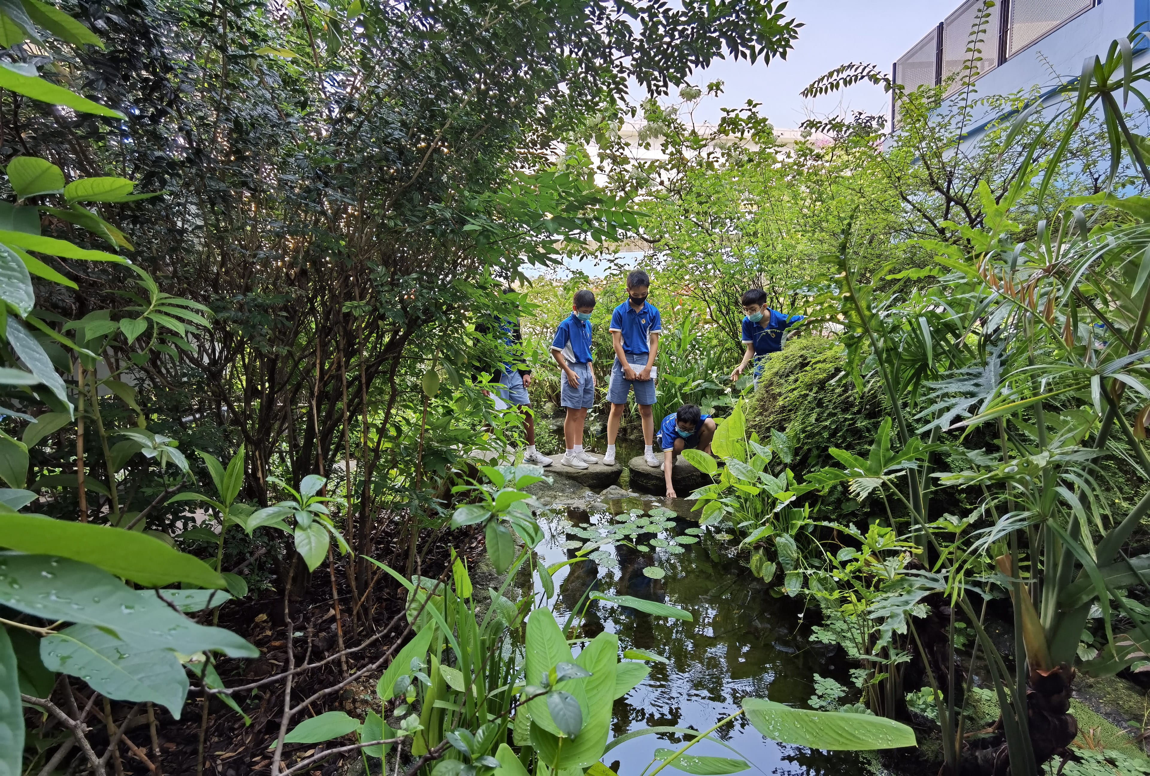Five students in blue uniforms stand on stones by a pond, surrounded by dense green plants.
