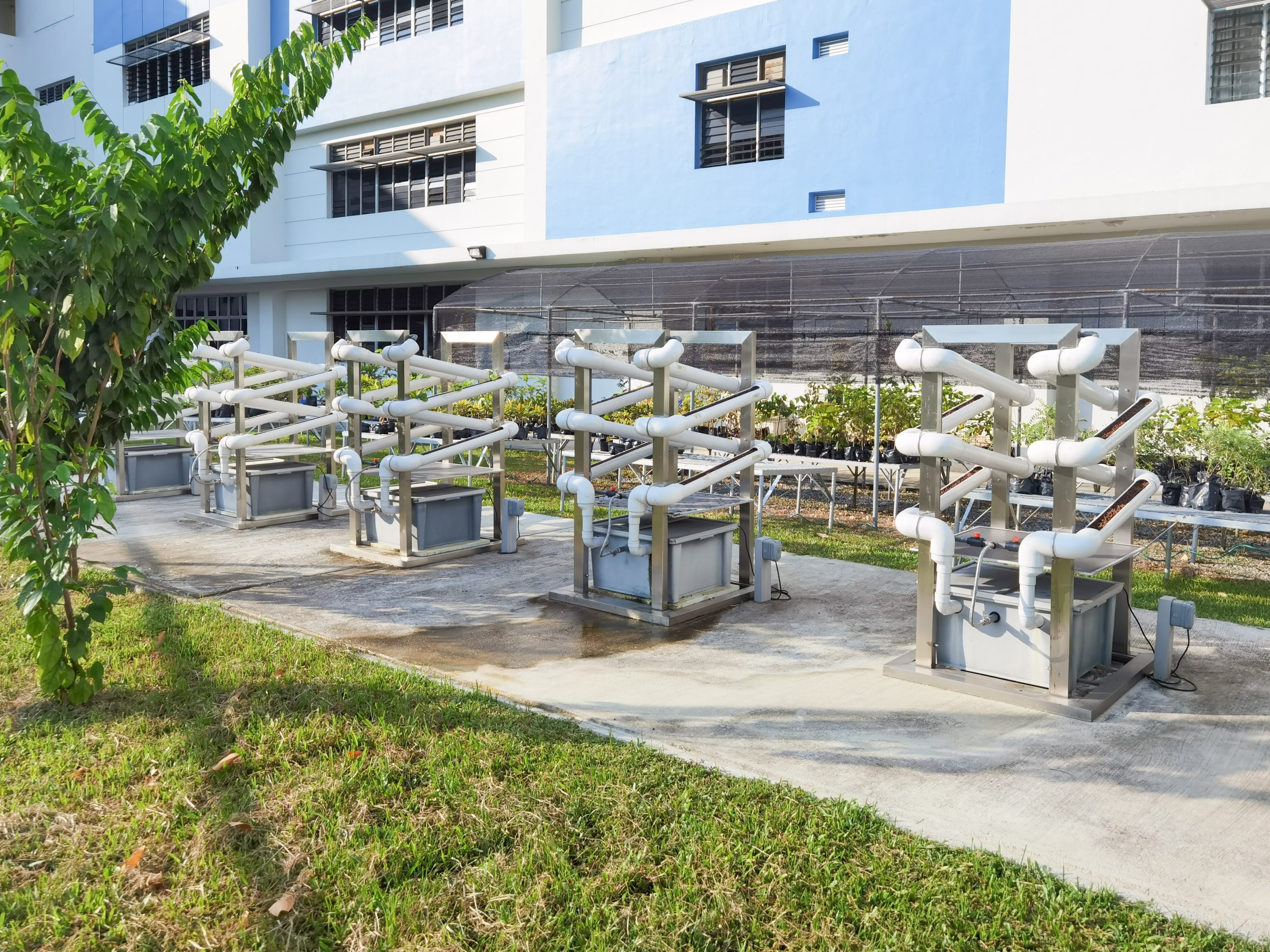 Rows of white PVC hydroponic racks on a concrete pad beside a blue-and-white building and greenhouse netting.
