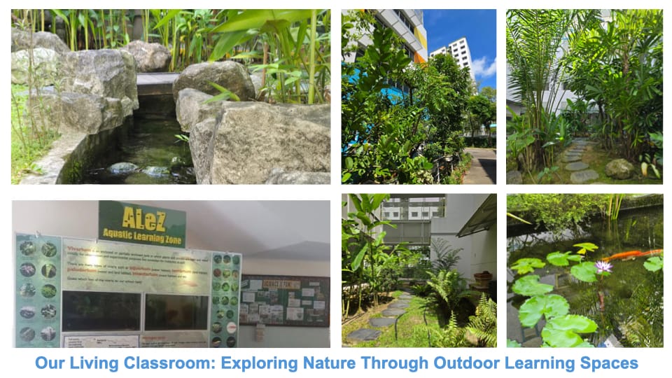 Six photos of a school's outdoor learning spaces showing rock streams, gardens, a koi pond, and an Aquatic Learning Zone display.