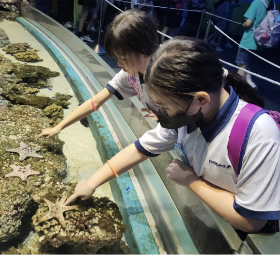 Two children in school uniforms lean over a touch tank, reaching toward starfish at an aquarium.