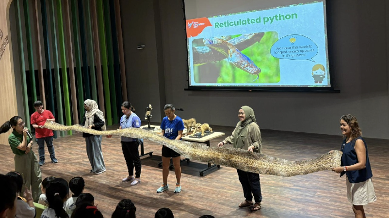 Several people hold a very long reticulated python specimen at a presentation with a projected slide in the background.