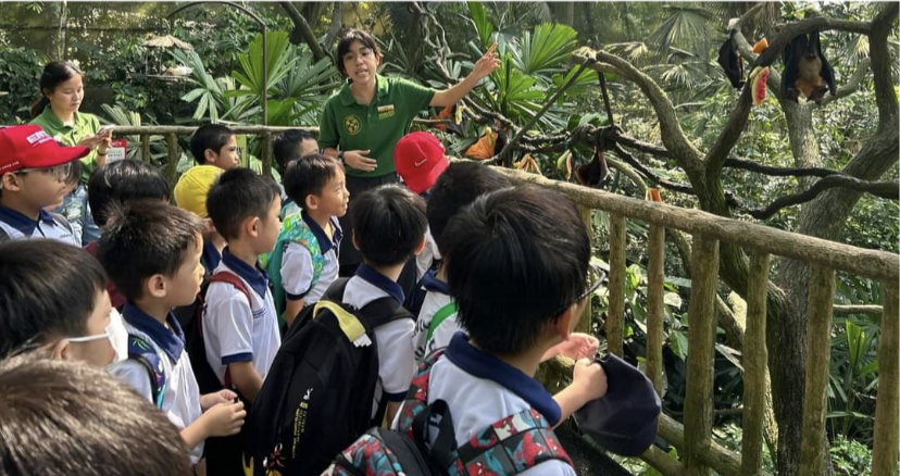 A zoo keeper in green uniform points at bats hanging in trees while children on a school trip watch.
