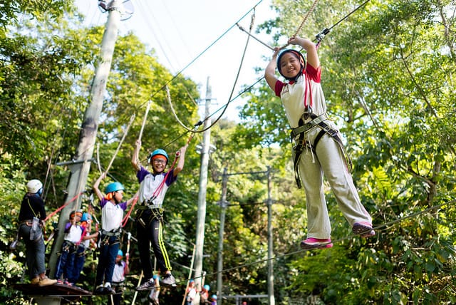 Children wearing helmets and harnesses navigate a rope course high among green trees outdoors.