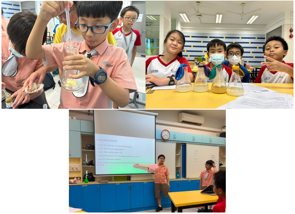 Students conduct science experiments with flasks and present findings on a projector screen in a classroom.