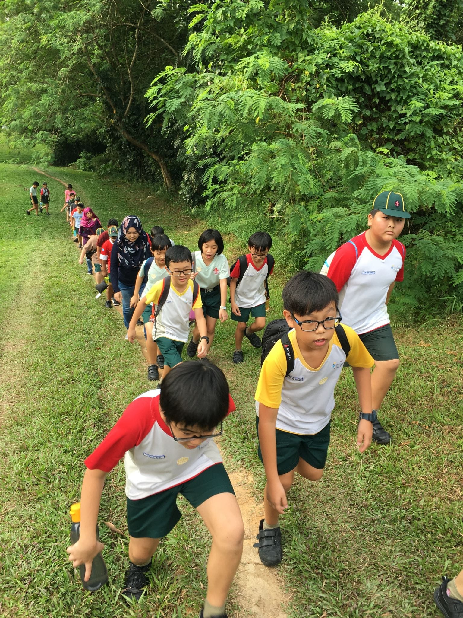 A long line of children in matching school uniforms hiking up a grassy trail surrounded by dense green trees.