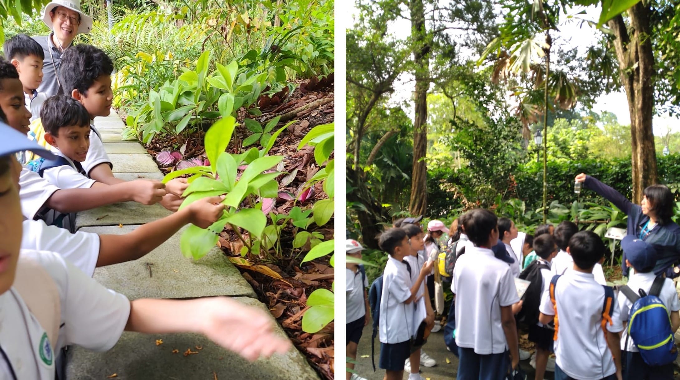 Children in white uniforms explore a tropical garden, touching plants on the left and listening to a guide on the right.