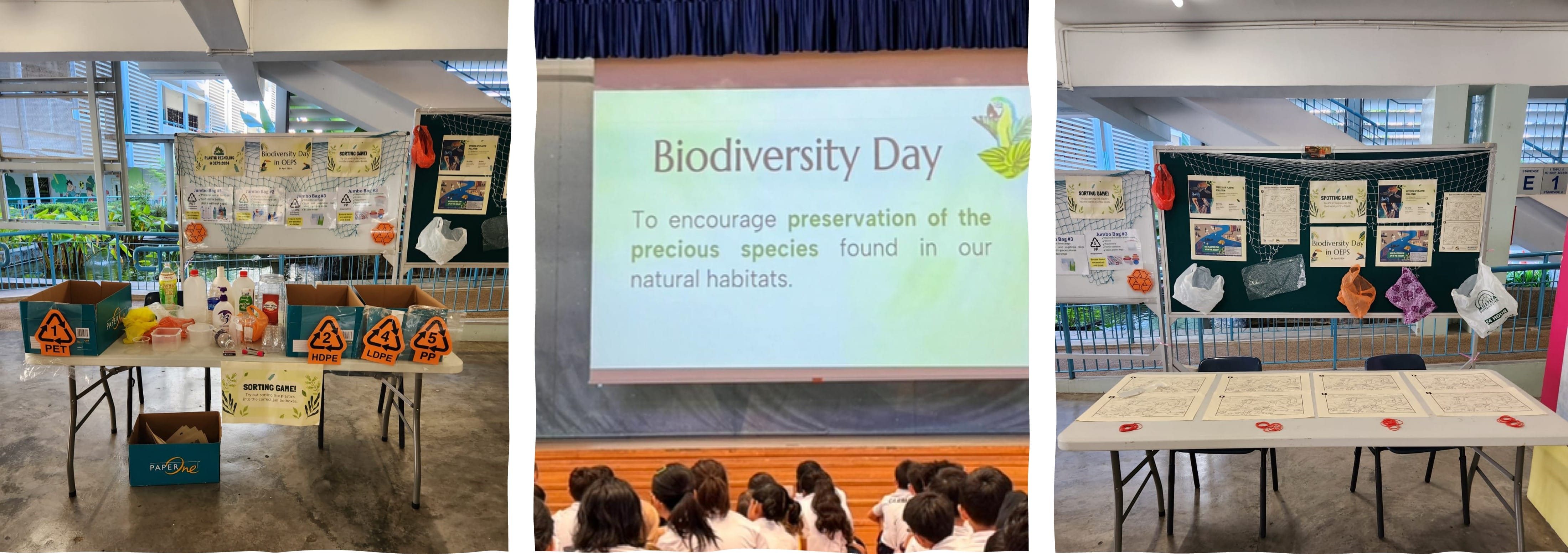 Three photos from a Biodiversity Day school event showing recycling sorting game, a presentation slide, and an activity table.