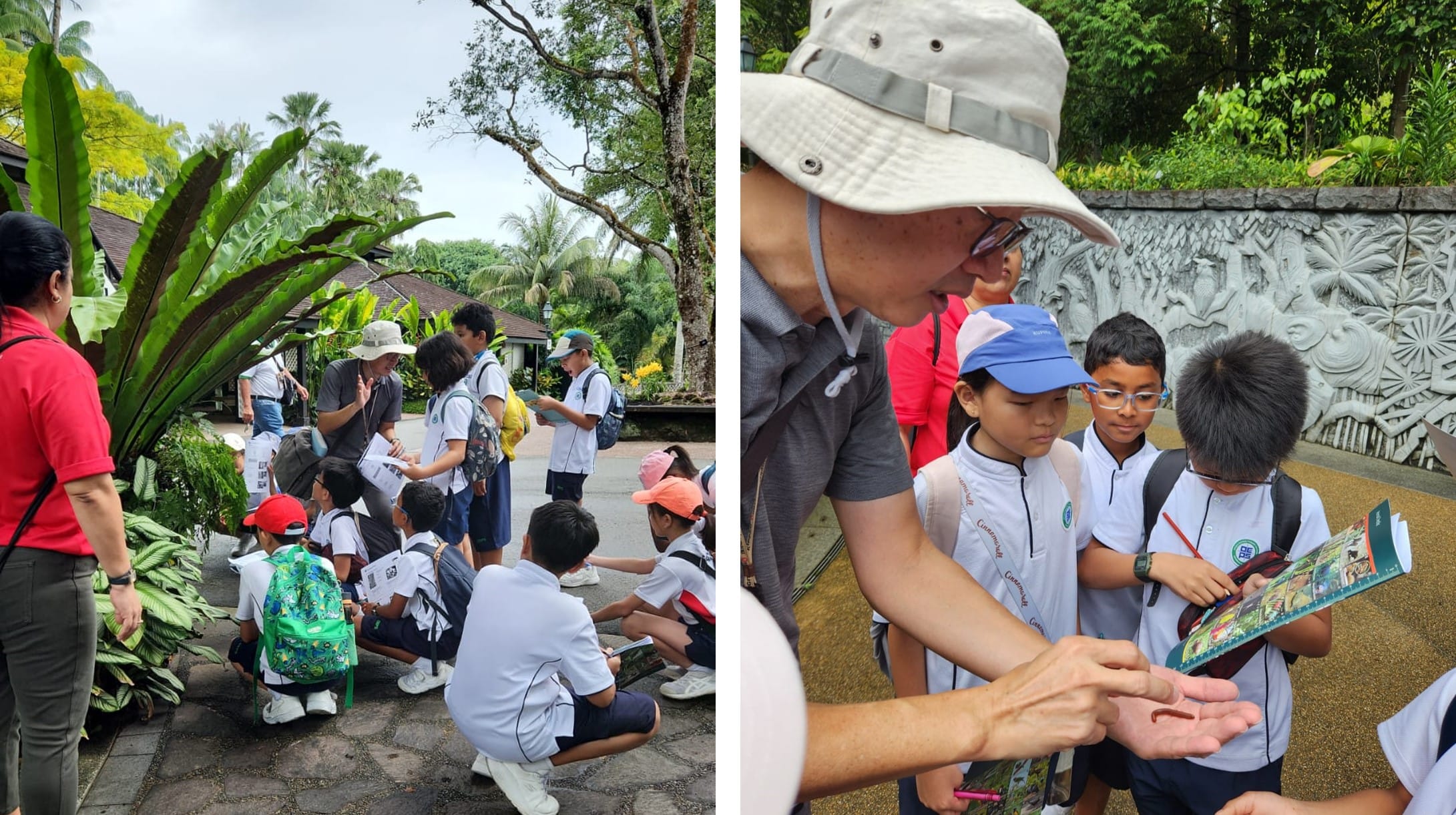 A group of school children in white uniforms on an outdoor field trip, with an adult showing them something small in hand.