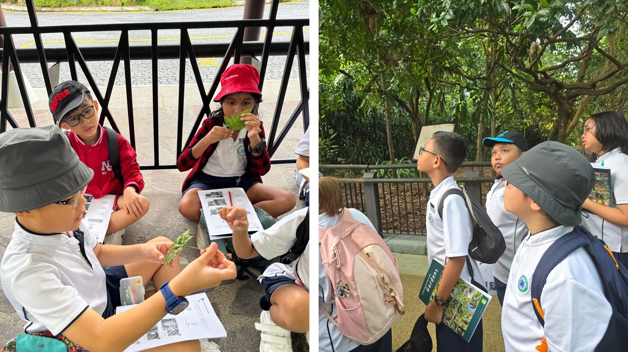 Children in school uniforms examine leaves and worksheets outdoors, while others look up at trees in a garden.
