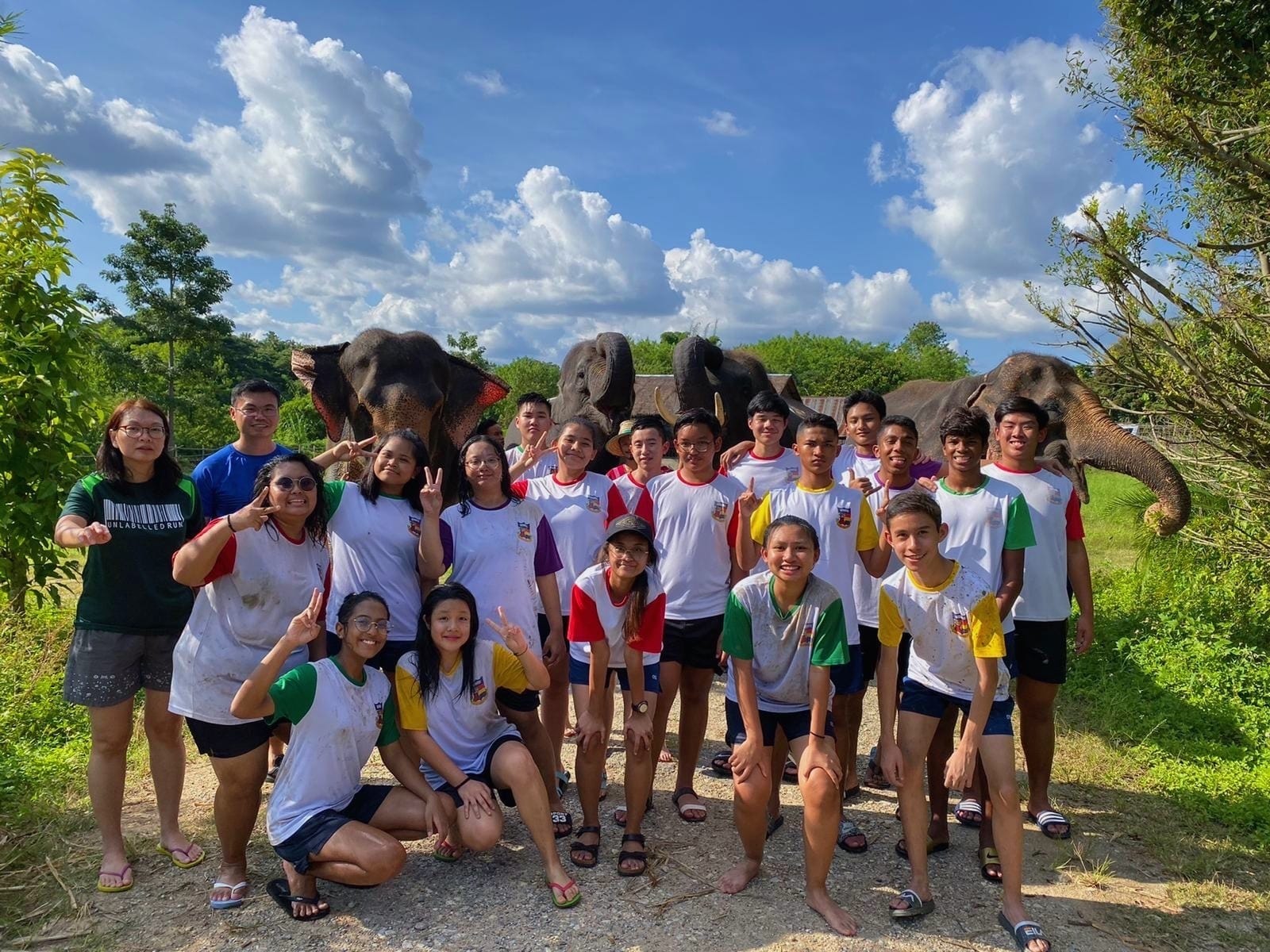 A group of students in matching white shirts pose outdoors with several elephants behind them under a blue sky.